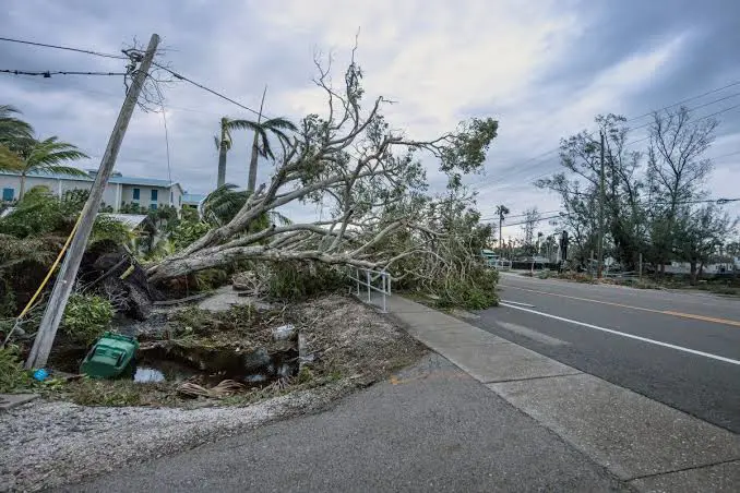 ABD'de Milton Kasirgasi: Bilanço artiyor!