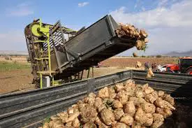 Li bajarê Xarpêtê civandina pincara sekir destpêkir