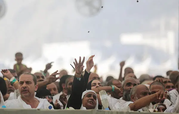 Medyaya navneteweyî: Zêdetirî 1000 heciyan canê xwe ji dest dane