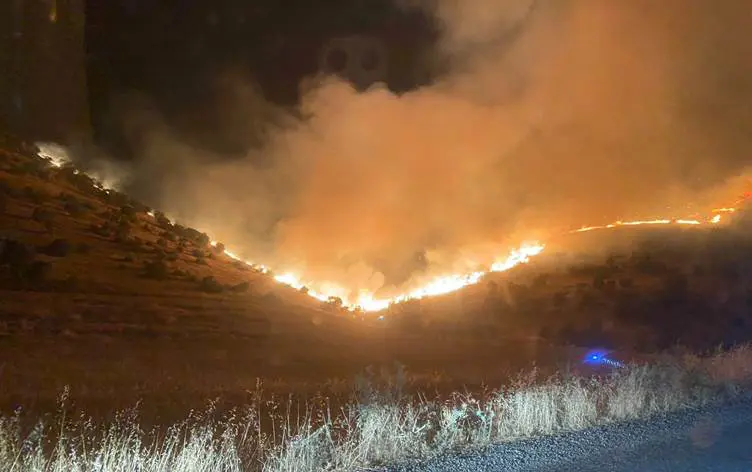 Diyarbakir ve Mardin arasinda çikan aniz yangini kontrol altina alindi