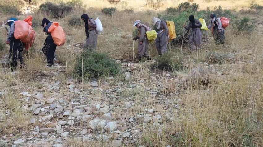 Iran rejimi 1 Kolber’i katletti, 4’ünü ise yaraladi!