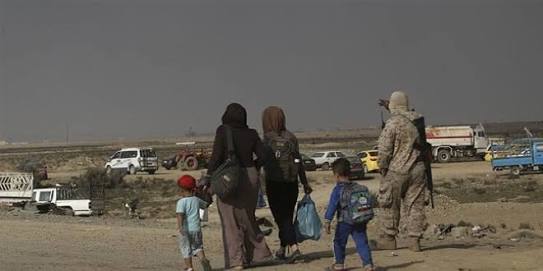 Almanya: Türkiye Afrin’deki sivillerden sorumlu