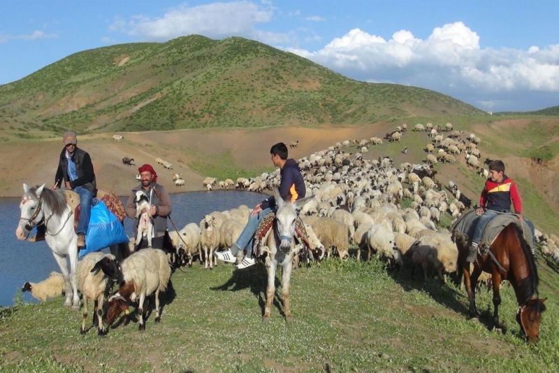 Türkiye ve PKK çatismasi 2 bin aileyi etkiledi