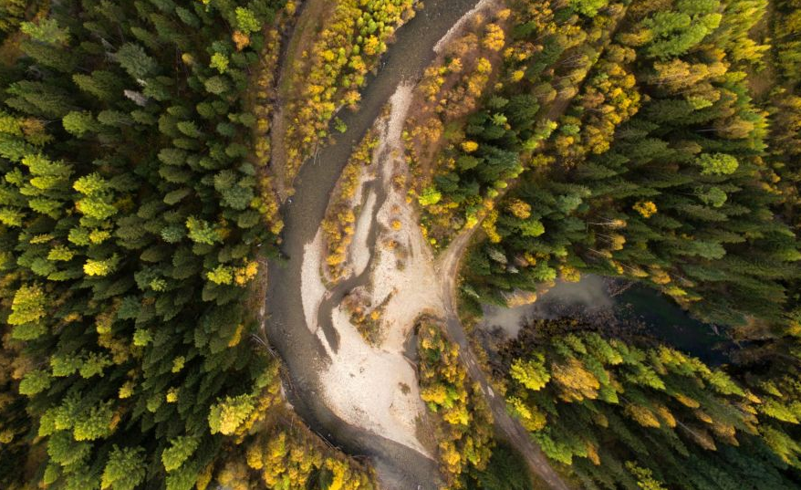 Pêwendiya nebatan a ligel hevdu pistrast bû