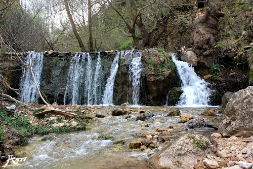 Ji ber dagirkirina PKKê warên gestûguzariyê vala dibin