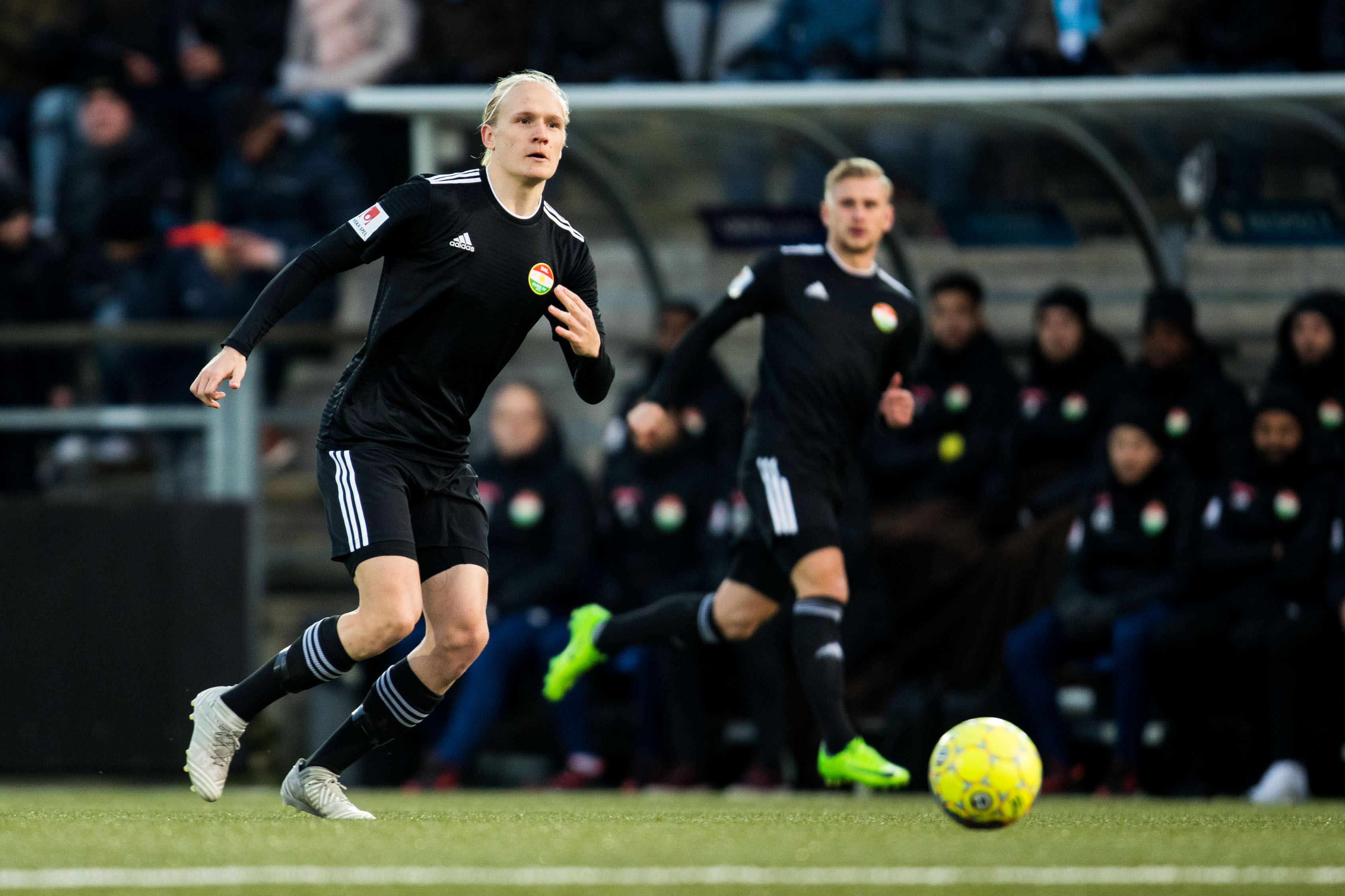 Dalkurdê careke din rastê skestinê hat