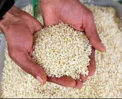 Taameke volkanîk: Birincê Qerecdaxê