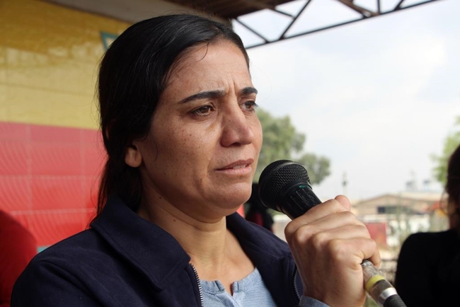 Hevseroka TEV-DEMê: Em îtirafê bi encamên civînên Komîteya Destûrê nakin