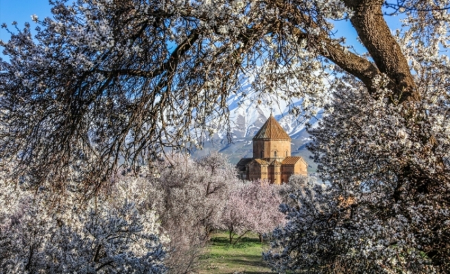 FOTO GALERÎ | Axtamar bi kulîlkên darbehîvan xemiliye