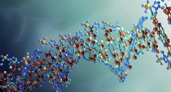 Zanyarên Rûsî nexseya genoma covid19 derxistin