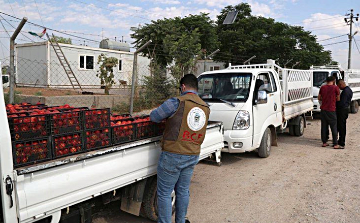 Helmeta Dezgeha Xêrxwazîya Barzanî ya kirîna bacanên cotkaran bo penaberan dest pê kir