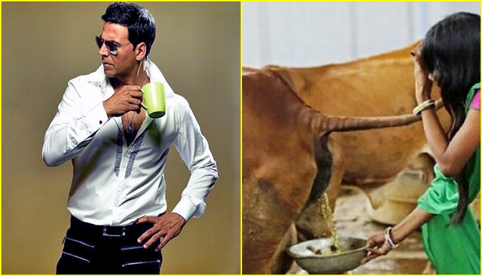 Stêrê Bollywoodê her roj mîza çêlekan vedixwe: Ji bo tenduristiya min pir bas e!