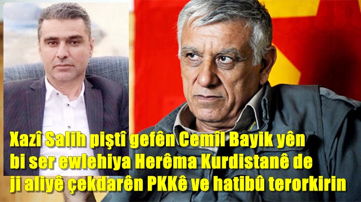 ‘Hikûmeta Kurdistanê dikare giliyê PKKê li dadgehên navdewletî bike’