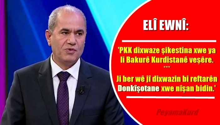 Elî Ewnî: PKK bûye hêzeke metirsîdar di destê dagirkeran de