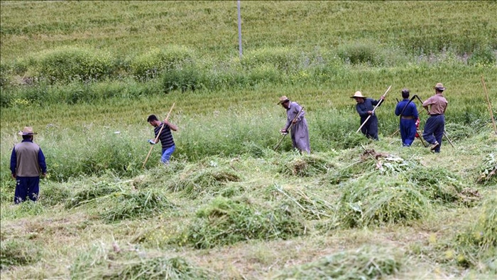 Wê Bexda besek ji pereyê cotkarên Kurdistanê bisîne