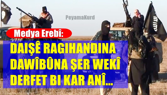 ‘DAIS bihêz bûye û li Sûriyê hebûna xwe ferz dike’