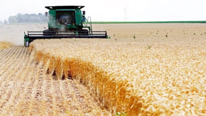 Wê Bexda besek ji pereyên genimê cotkarên Kurdistanê bisîne