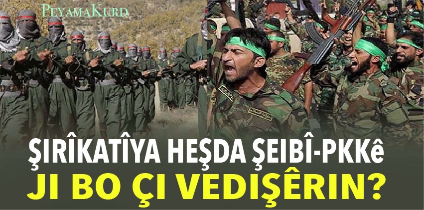 Serkêsên derxistina aloziyan ku PDKê dikin armanc li pey çi ne?