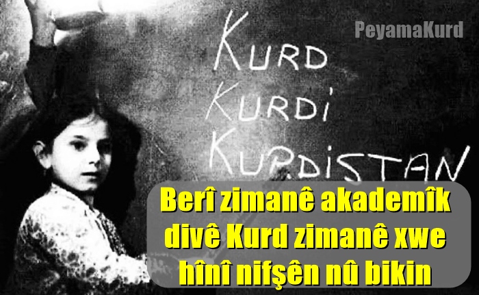 Me Kurdiya Gundî kire çol, dor giha ya Akademîk!