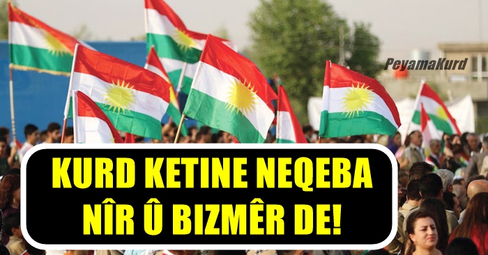 Kurdan ji sala 2020an çi xêr dîtin?