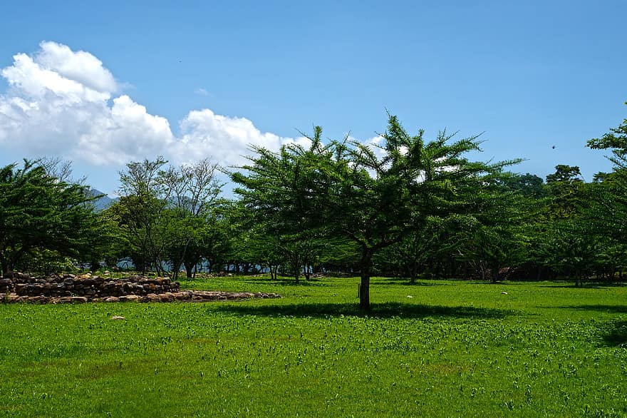 Li Hewlêrê bi helkefta roja jîngehê paqijkirina jîngehê destpê dike