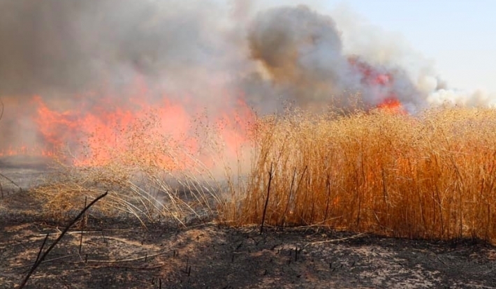 Li Kerkûkê 5 kes di qezayê de mirin