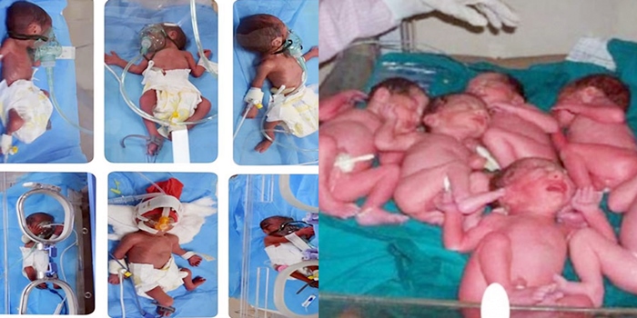 Li Hewlêrê dayikekê 6 zarok bi hev re anîn