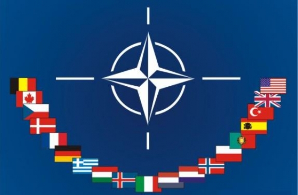 NATO ‘grûbên ser yên pirnetewe’ yên detekê ava kir