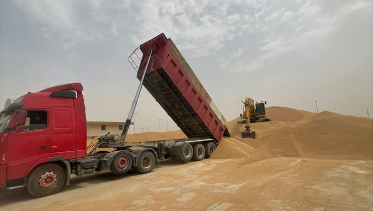 Iraq ji cotyarên Kerkûkê 180 hezar ton genim kirî