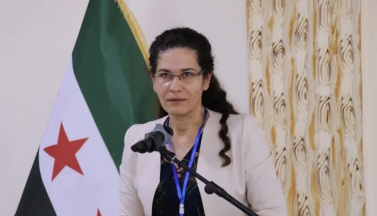 إلهام أحمد: الأحداث الجارية بسوريا تشكل خطراً على البلاد 