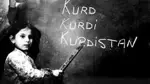 يوم اللغة الكردية: احتفاء بـ"بوتقة الهوية" وصمود في وجه محاولات المحو الثقافي