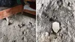 Ziyaretgeha Duzgun Baba xera kirin