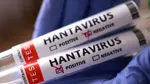 Bir İngiliz vatandaşında daha hantavirüs şüphesi tespit edildi