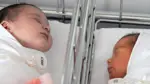 Hejmarên zarokên ji dayikbûne yên meha Adarê li Silêmanî hatin eşkere kirin