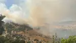 Diyarbakır'da orman yangını