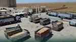 استلام 700 ألف طن من القمح وافتتاح 10 مراكز إضافية بالحسكة