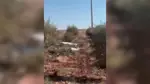 Urfa’da otomobil tarlaya uçtu: 1 ölü