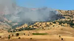 Diyarbakır'da orman yangını: Ekipler ve halk müdahale ediyor