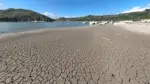 WMO: Nehirler 35 yılın en kurak dönemlerinden birini yaşadı